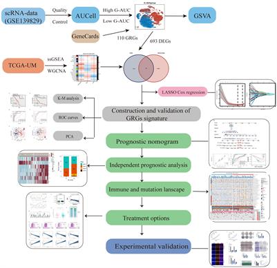 Integrating single-cell analysis and machine learning to create glycosylation-based gene signature for prognostic prediction of uveal melanoma